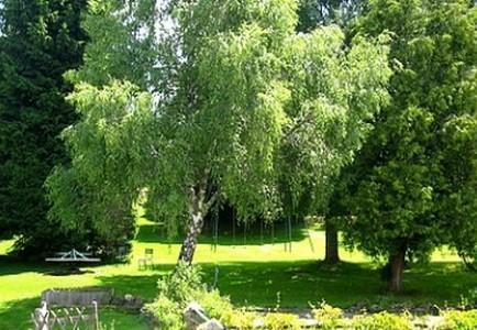 Hotel La Clairiere Chambon-sur-Dolore Luaran gambar